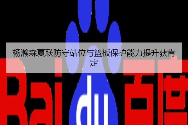 杨瀚森夏联防守站位与篮板保护能力提升获肯定